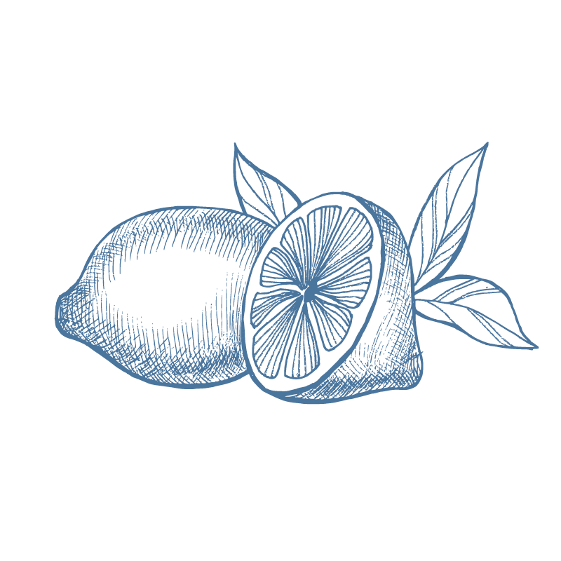 Café Gannet illustration